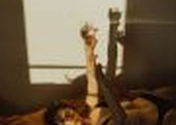 Индивидуалка Лера (Кирова, Затверецкий)